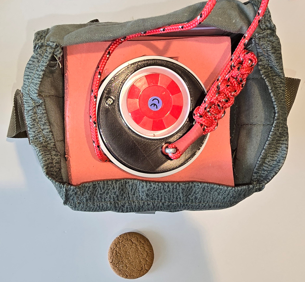 Satchel charge